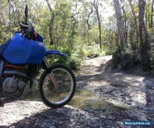 Motorcycle Suzuki DR650SE [Outback Setup Complete] LAMS for Sale